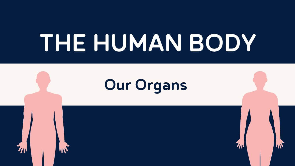 Read more about the article #16 Bizarre & Odd Facts About The Human Body
